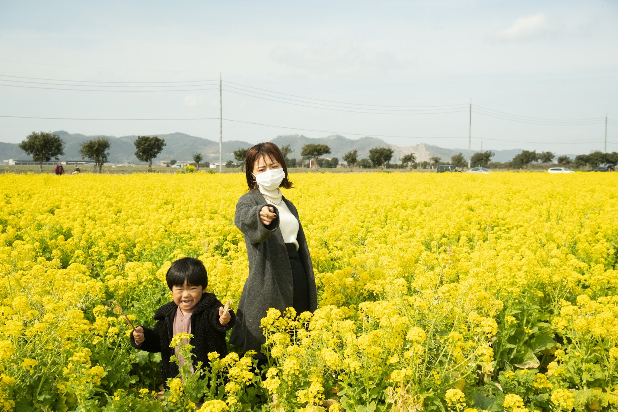 四季折々、毎シーズン違う花畑を楽しめる岡山の観光スポット『笠岡ベイファーム』