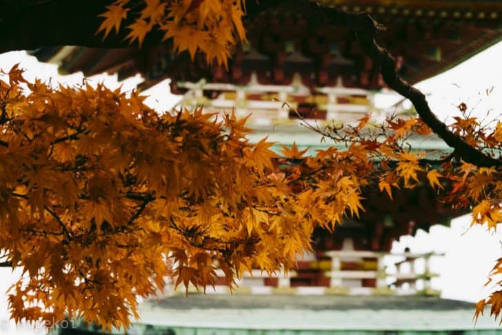 生口島『耕三寺』の紅葉を撮ってきた！見ごろは11月中旬〜下旬