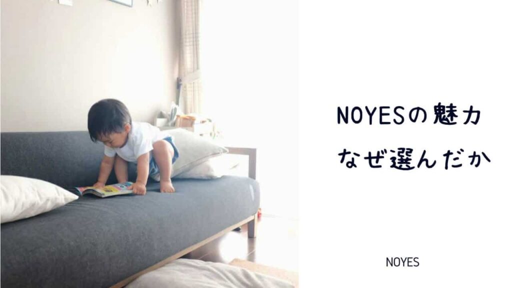 ネットでソファを買うなら専門店の『NOYES』がおすすめ！