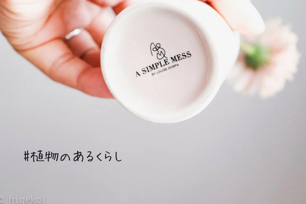 初めての一輪挿しはシンプルでオシャレな『A SIMPLE MESS』を選びました