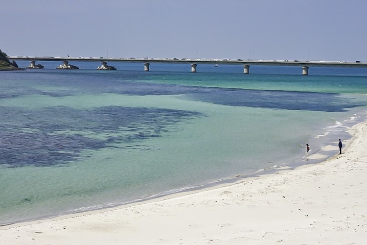 萩 観光 角島