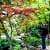 宮島の紅葉谷公園は広島でおすすめの紅葉スポット
