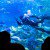 別府の水族館『うみたまご』は大人も楽しい観光地スポット
