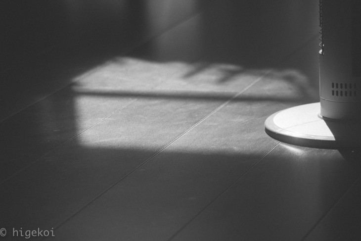 nikkor 35-105mm作例