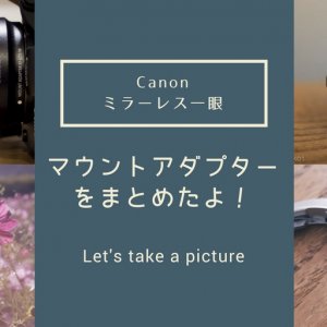 Canon EOS M3購入レビュー！1年使った評価のまとめ - 45House(よんごーはうす）