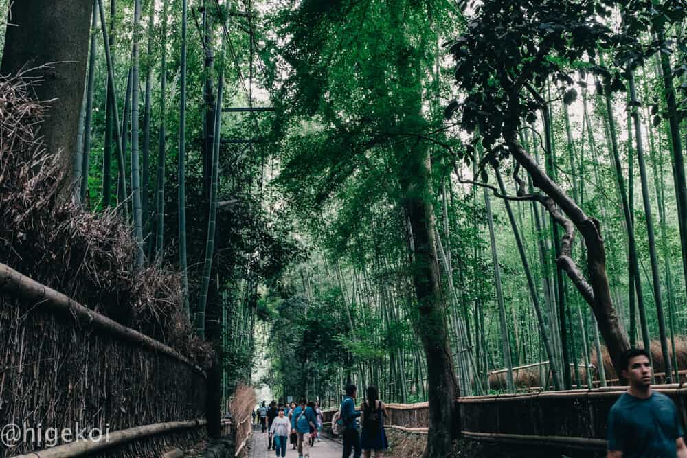 京都 嵐山の観光スポットをFUJIFILM X100Fで撮る