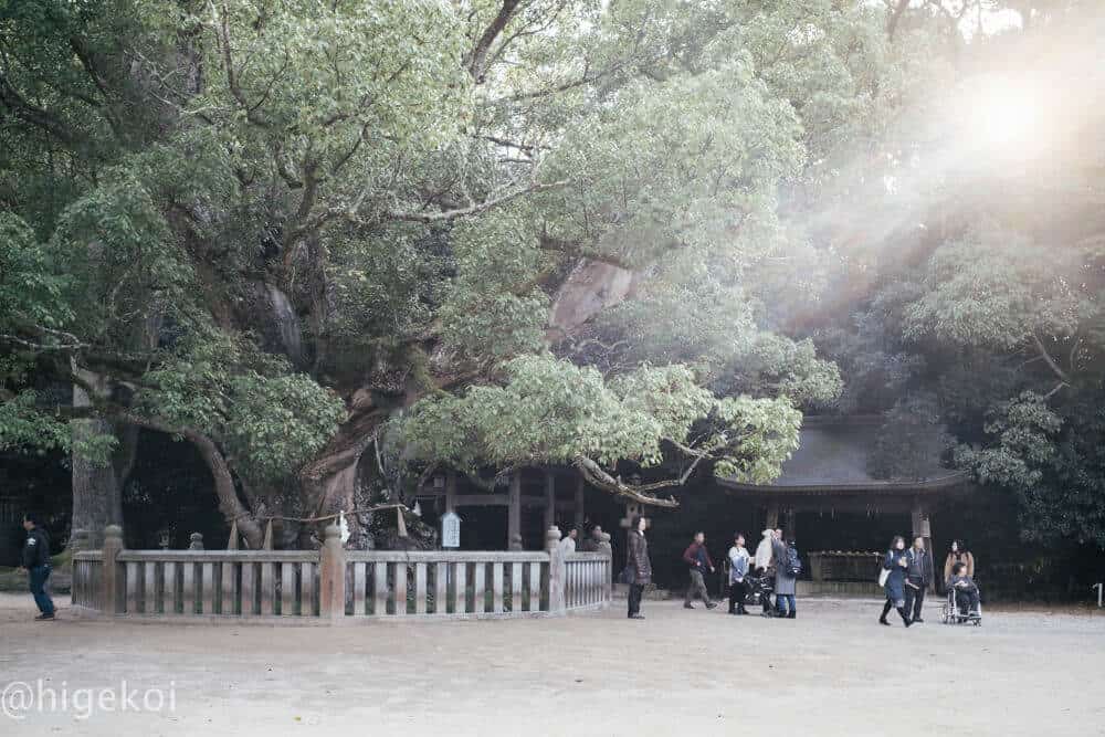 大山祇神社