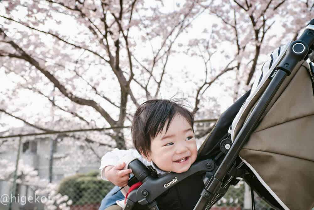 桜2018