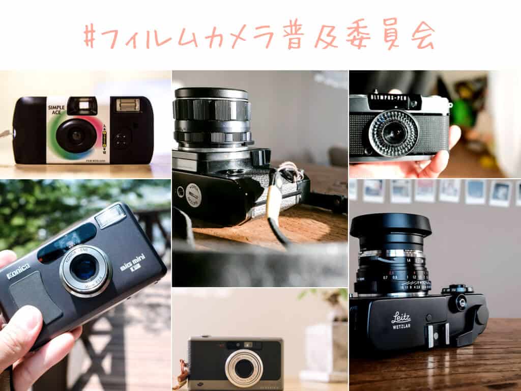フィルム
