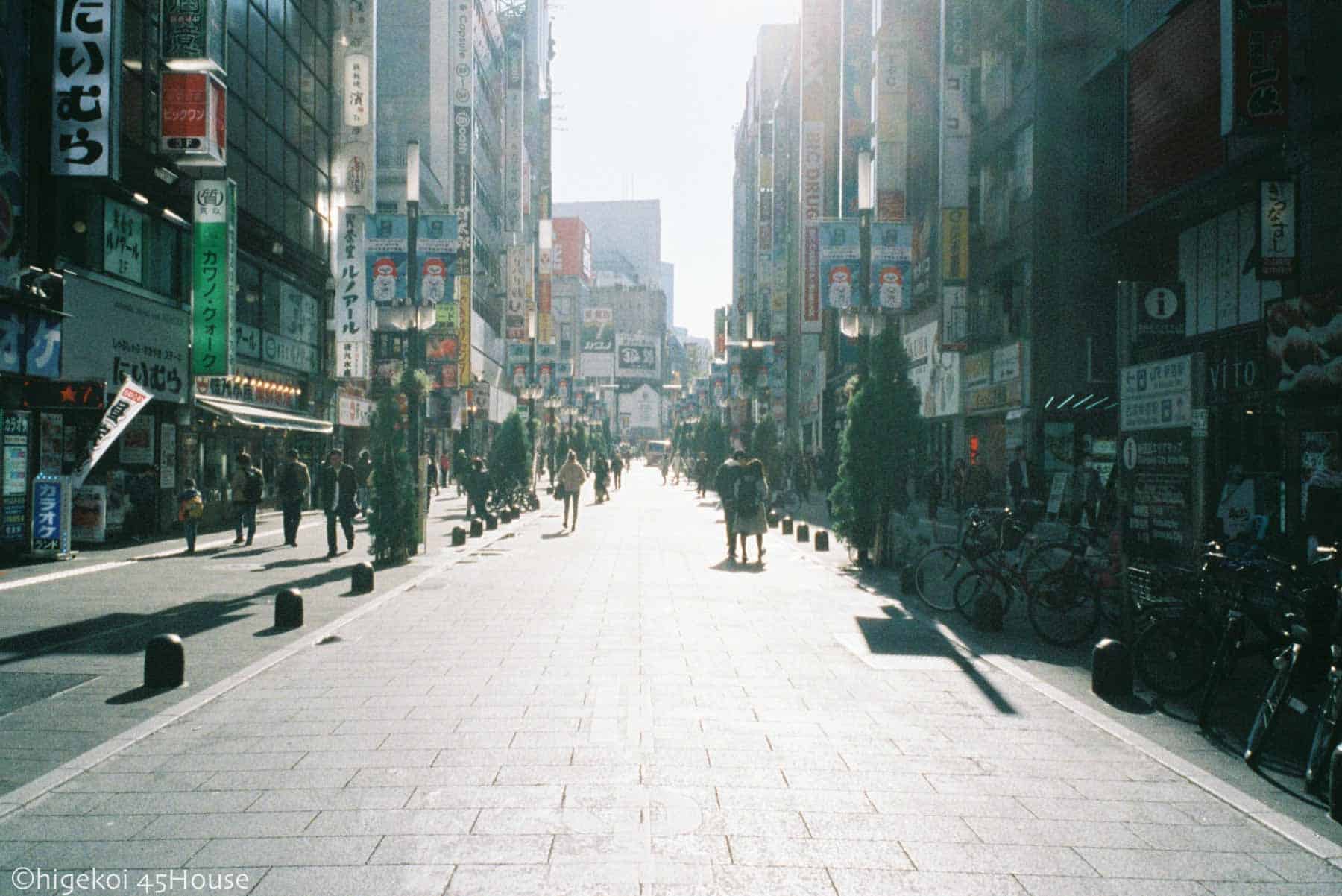 さんぽ