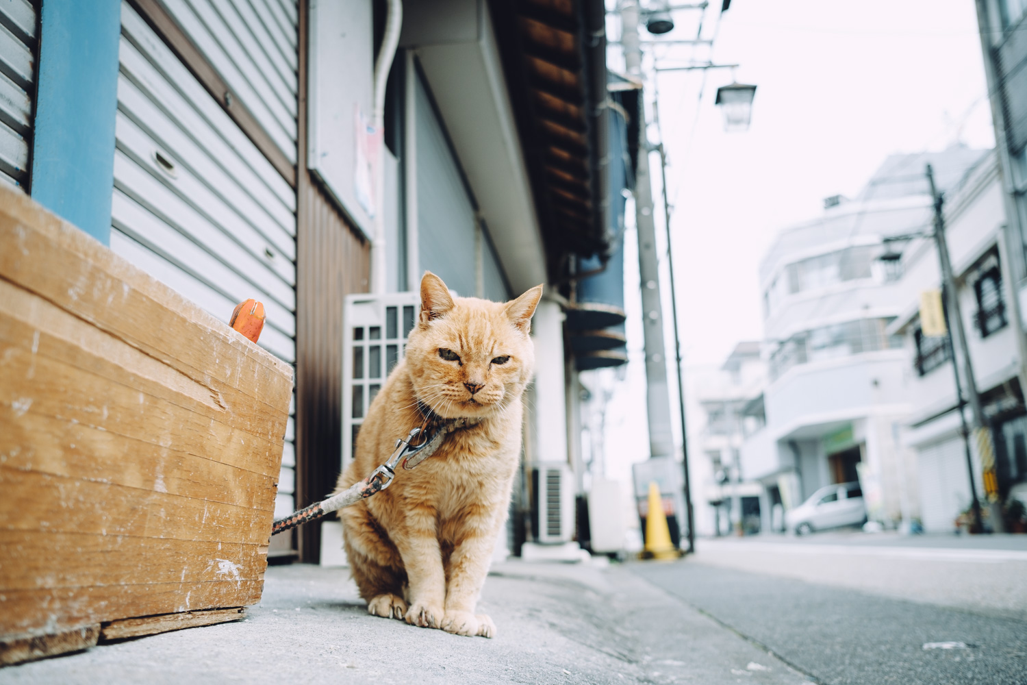 FUJIFILM XF23mm F2 R WR 写真作例 - 45House