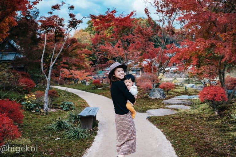 お寺と庭園と紅葉と。X100Fで撮る秋の神勝寺【撮った20】　
